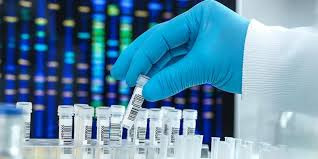 Mitochondrial DNA Sequencing TEST