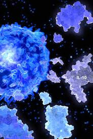 Interleukin (IL-1) Alpha Cytokine Test