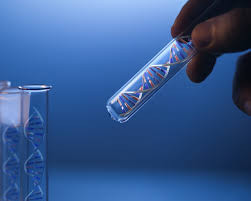 Cancer Gene NGS  - Any four Marker/ Gene