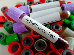 MTHFR C677T Gene Mutation Test